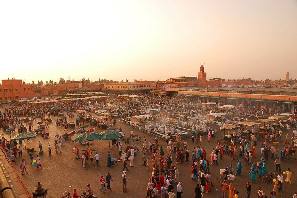 9 ting du skal opleve i Marrakesh