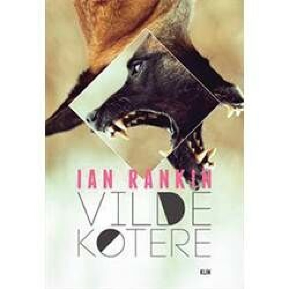 Hvilke bøger skal du læse? Her er 15 bud