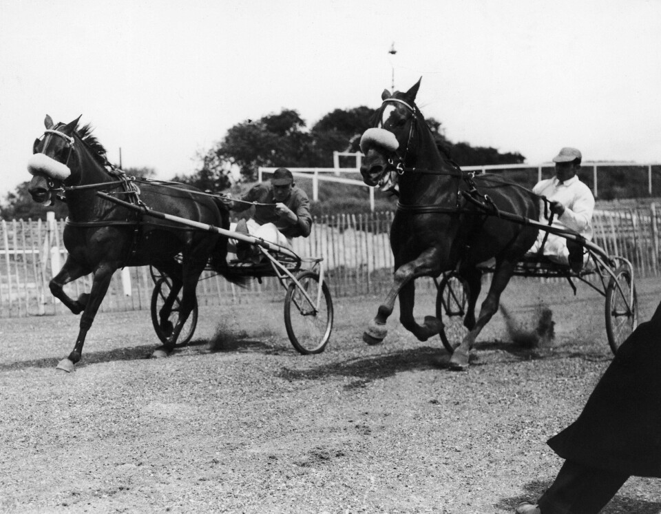 Disse sportsgrene var populære, da farfar var ung