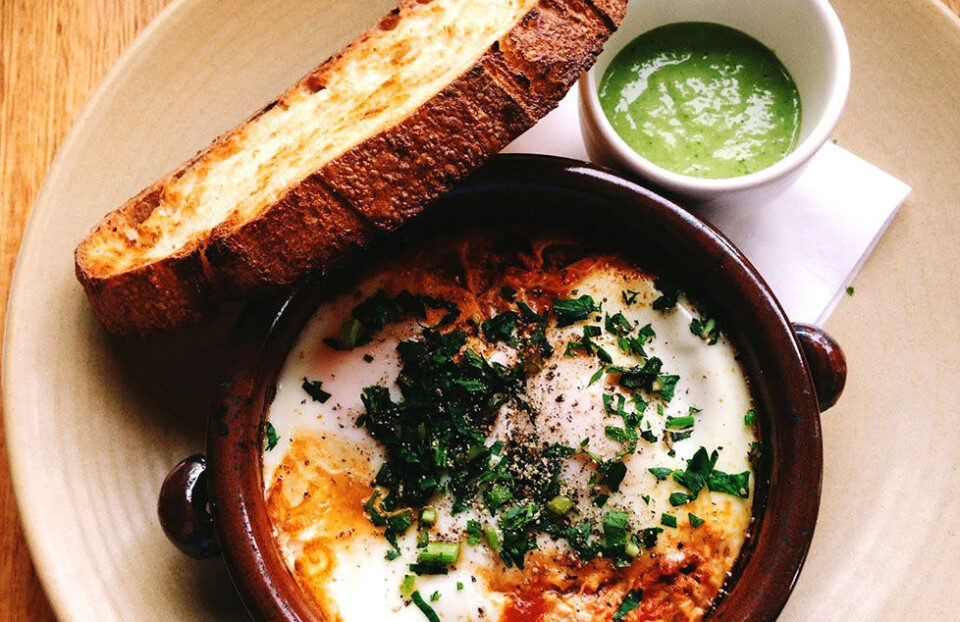 5 ting, du skal opleve i Sydney