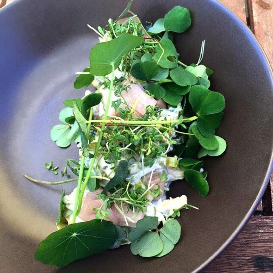 Det bedste Bornholm har at byde på: 5 fantastiske spisesteder