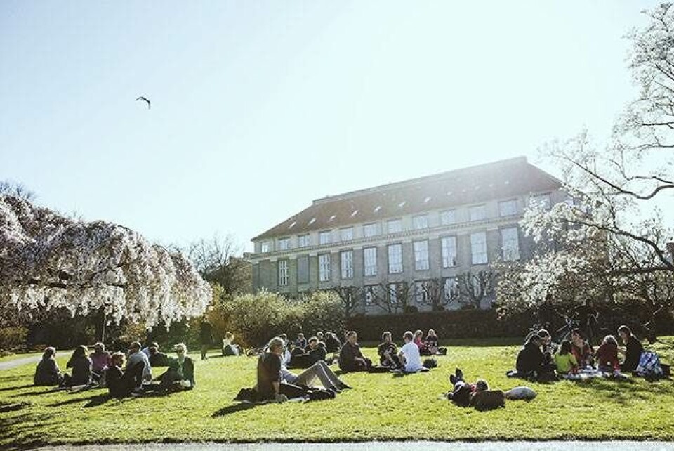 22 ting du skal opleve på Frederiksberg