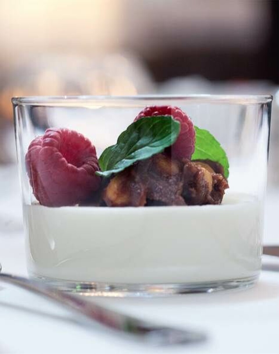 Yoghurtmousse med hasselpraline