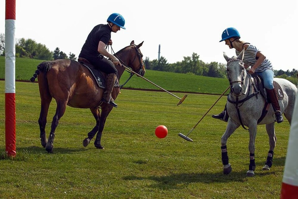 Jeg spillede polo på hesteryg, men det får du nok aldrig råd til