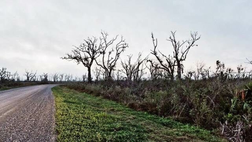 Road trip: Seks locations fra de bedste tv-serier