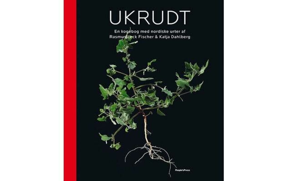 Euromans gaveguide til kogebøger