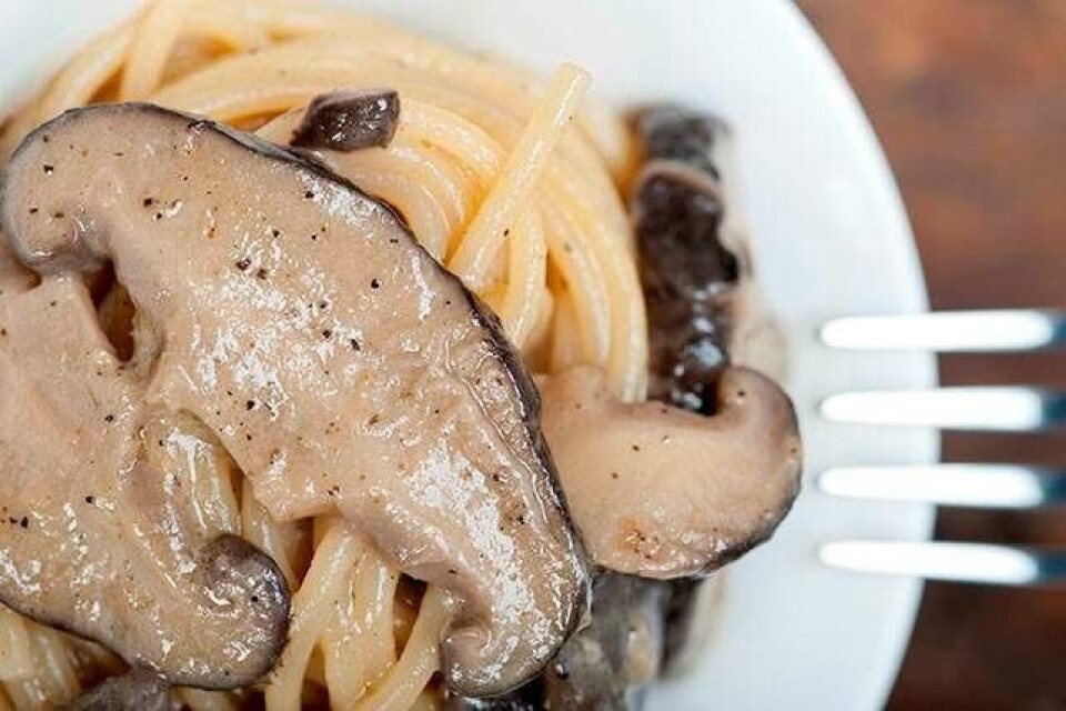 7 pastasaucer under 50 kroner