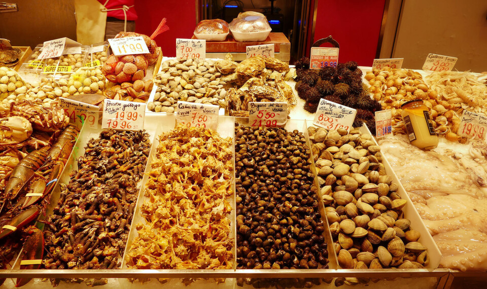 Stor guide: Her skal du spise i Madrid