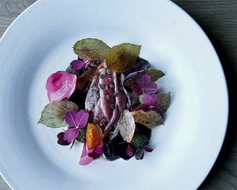 gastro giver Noma 3 stjerner!