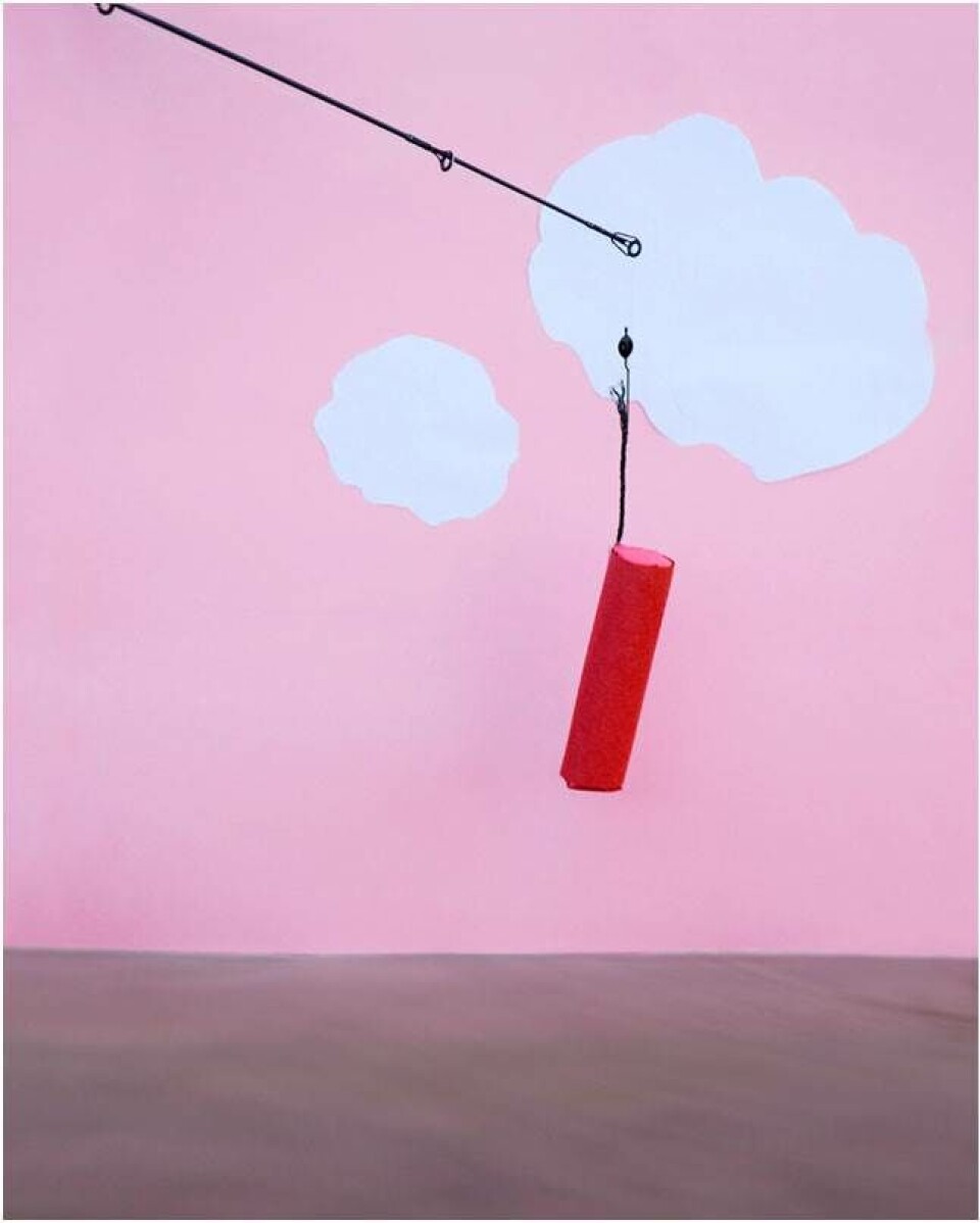 Fotograf laver popart ud af bizar amerikansk lovgivning