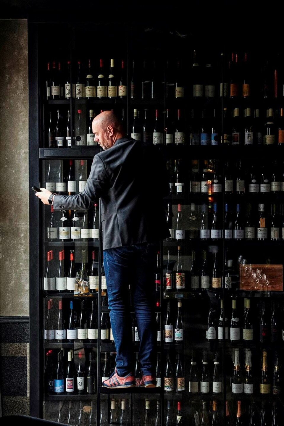 Vivino: 'Det er ikke altid de dygtigste og de klogeste, der kommer længst'