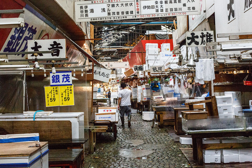 Et år i lære som sushikok i Japan: Tunauktioner, fiskerensning og arbejdsdage på 17 timer