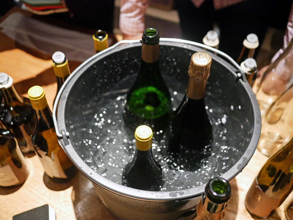 Kom med til Fri Vin-festivalen: 'Naturvin er ikke længere forbeholdt en lille skare af sommelierer'