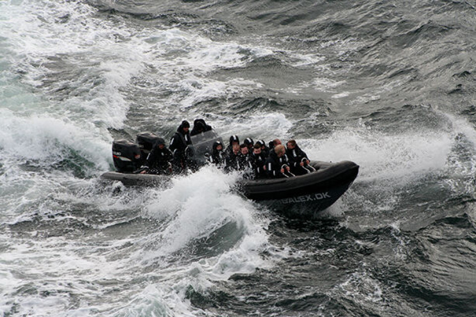 8 idéer til herreturen