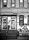 Velkommen til mit Brooklyn