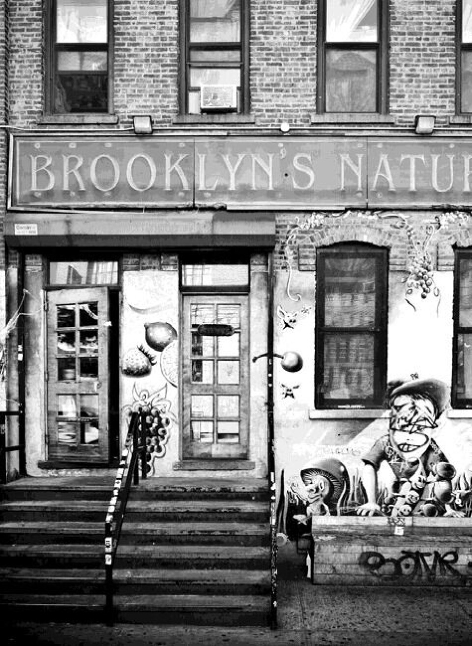 Velkommen til mit Brooklyn