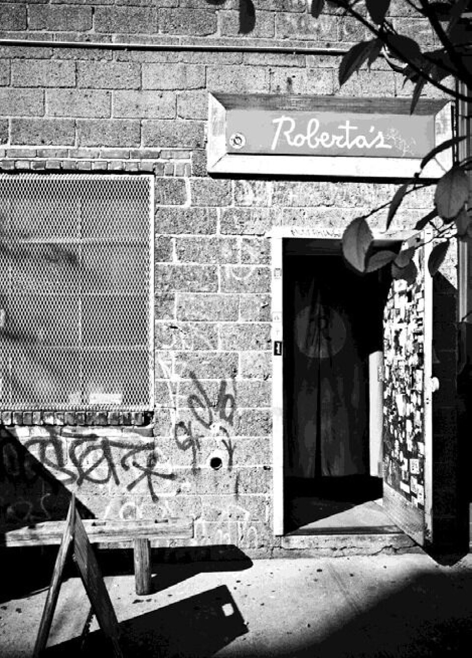 Velkommen til mit Brooklyn