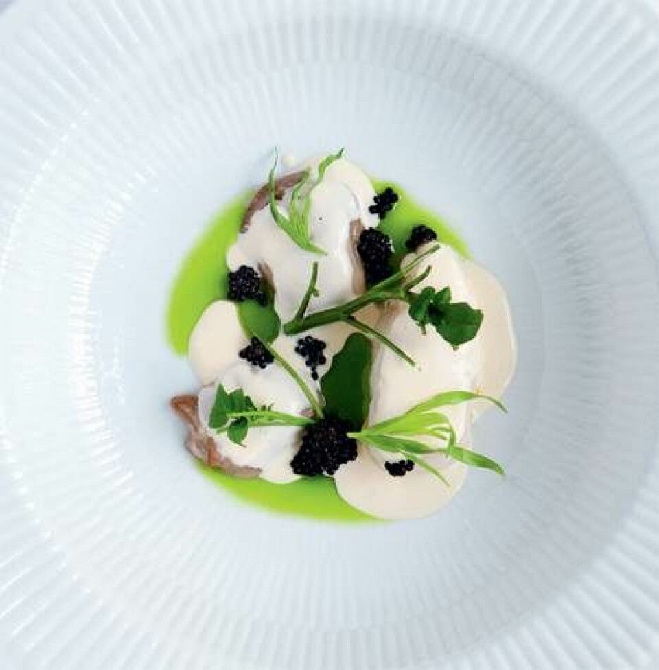 Østers på 6 forskellige måder