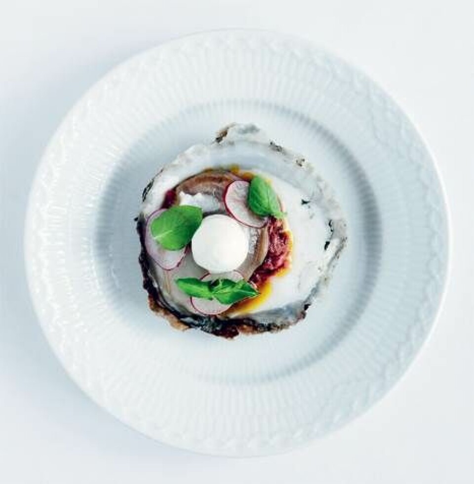 Østers på 6 forskellige måder