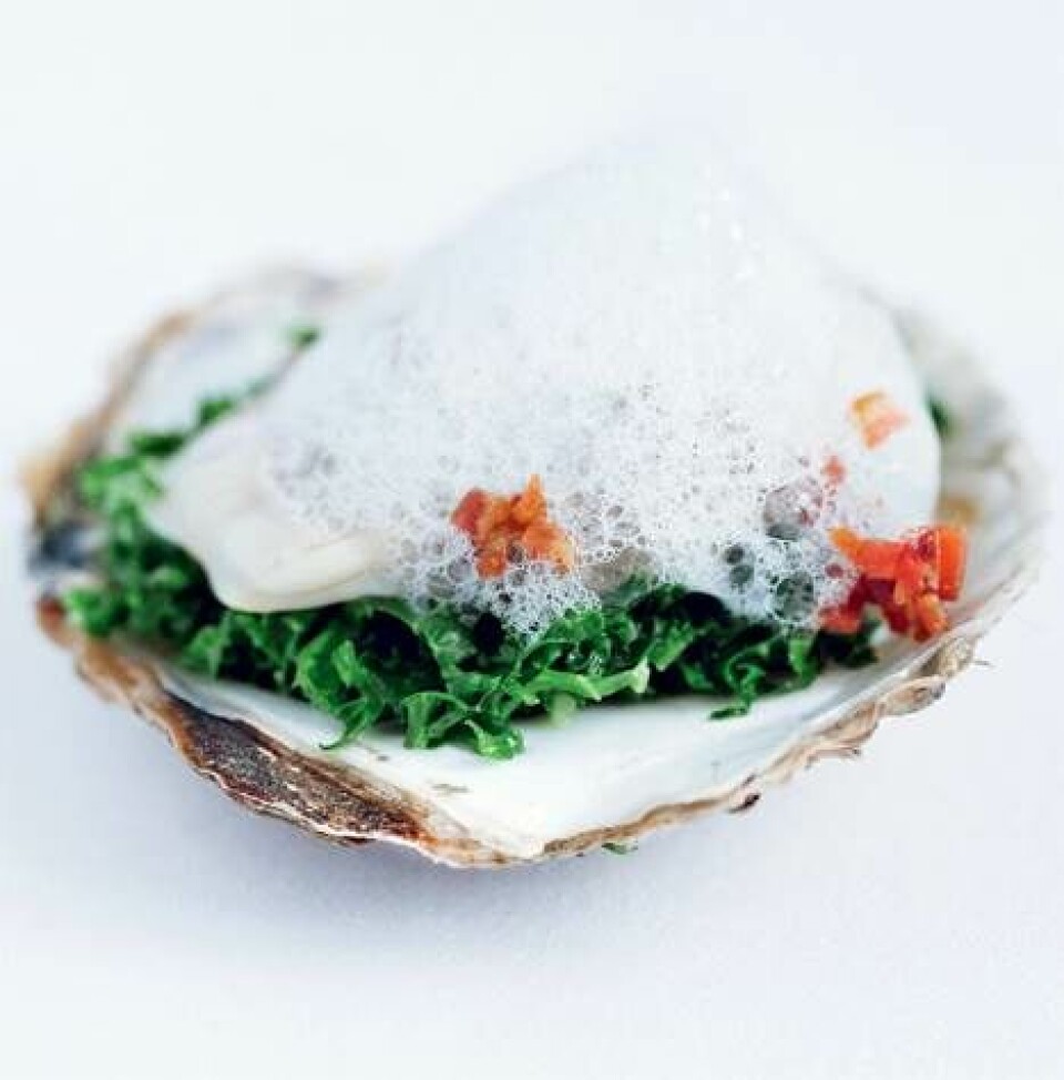 Østers på 6 forskellige måder