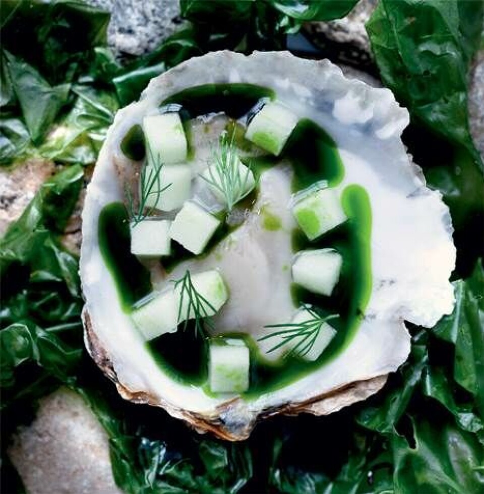 Østers på 6 forskellige måder