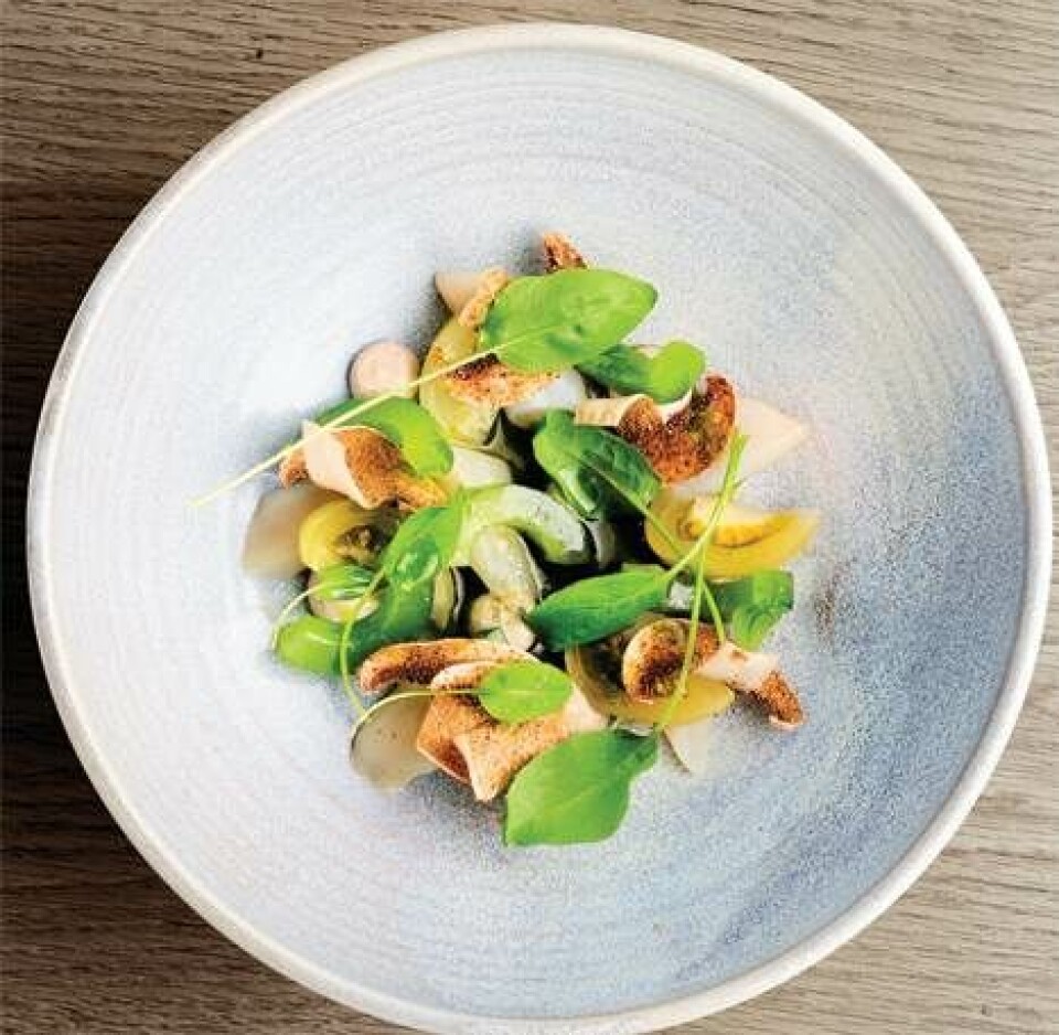Få 7 opskrifter fra restaurant Pony