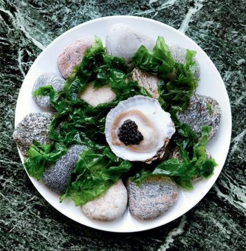 Østers på 6 forskellige måder