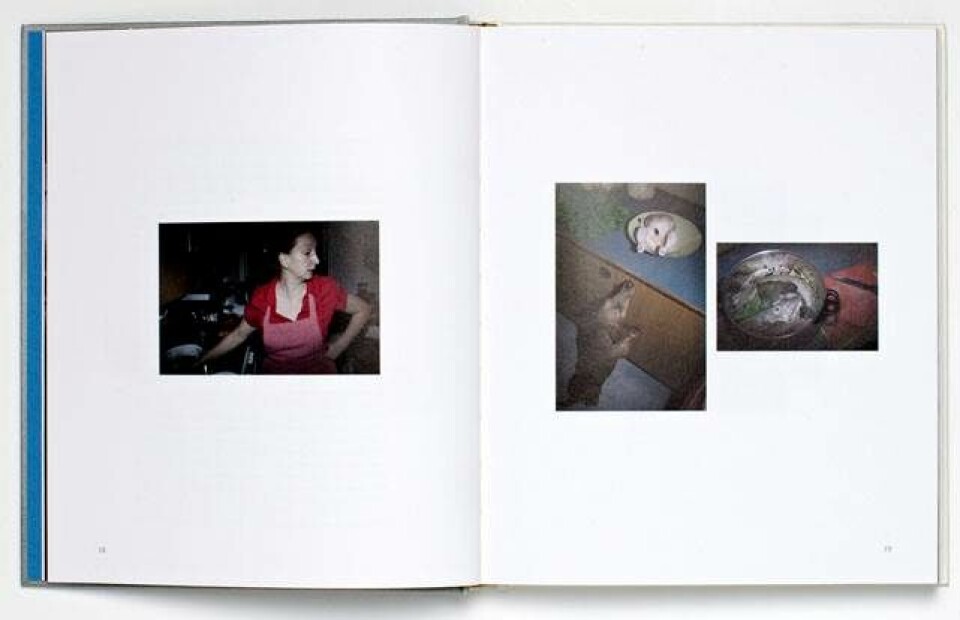 Ny kogebog forklarer sammenhængen mellem boller i karry og erotisk amatørfotografi