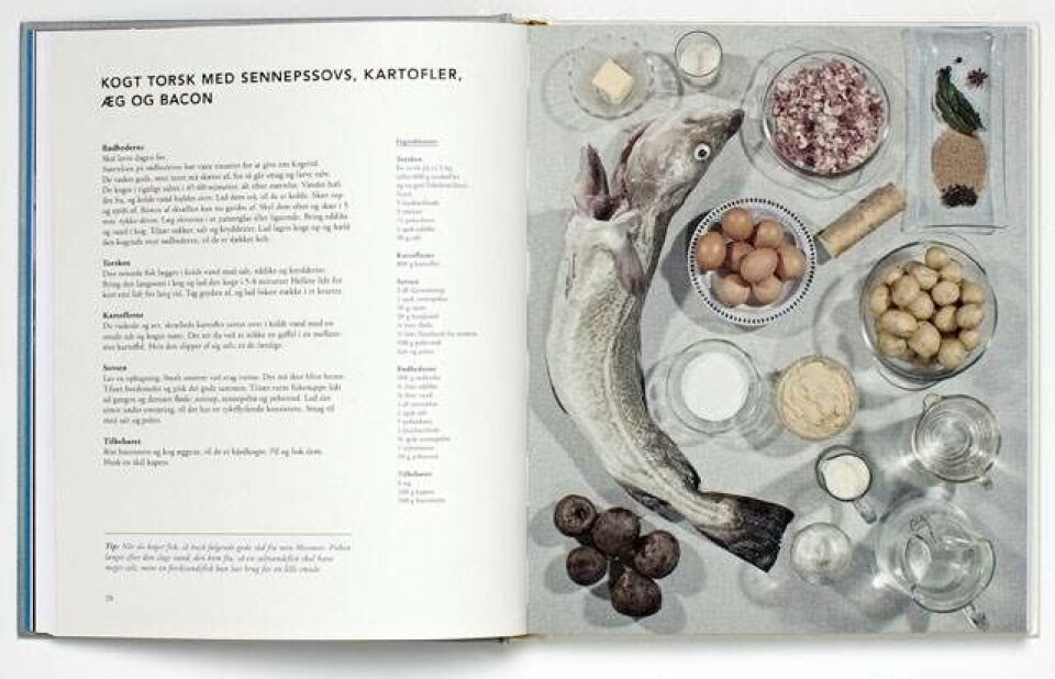 Ny kogebog forklarer sammenhængen mellem boller i karry og erotisk amatørfotografi