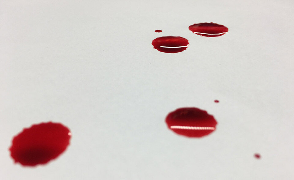 Krimi-klumme: ”Jeg kunne se en masse blod, men ingen personer”