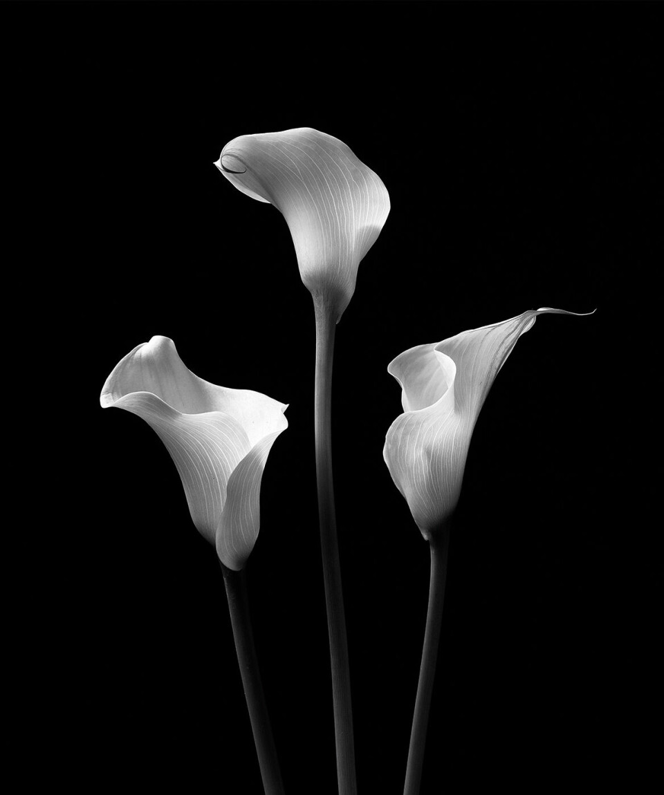 Ny foto-udstilling af anerkendt dansk fotograf