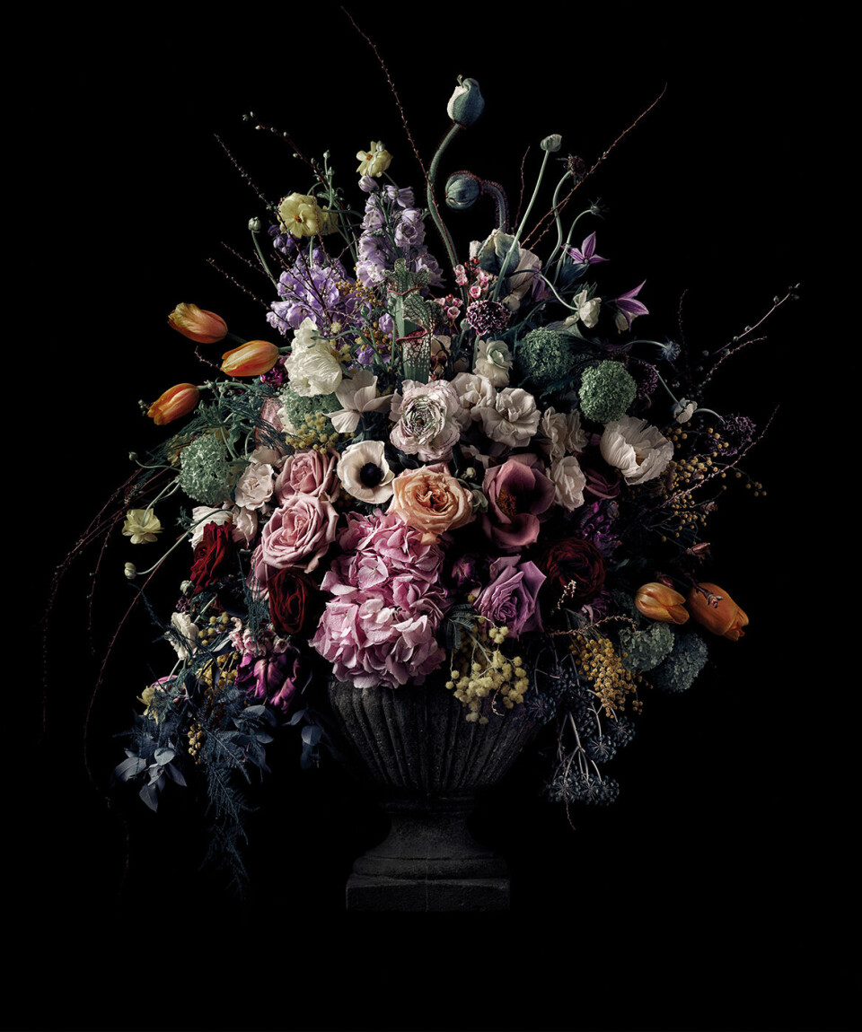 Ny foto-udstilling af anerkendt dansk fotograf