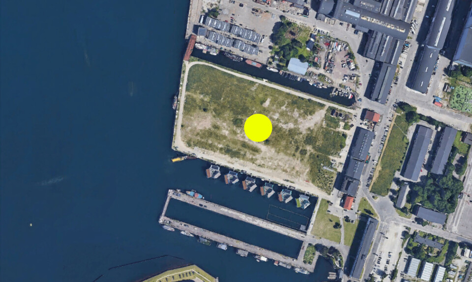 Ny københavnsk festival er klar med det endelige musikprogram