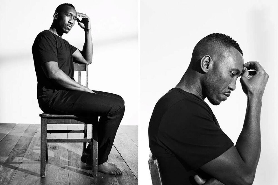 Mændene i ’Moonlight’ er nye undertøjsmodeller for Calvin Klein