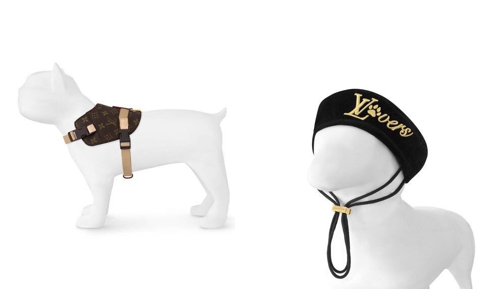 Enden er nær: Gode hunde bor i Louis Vuitton-hundehuse