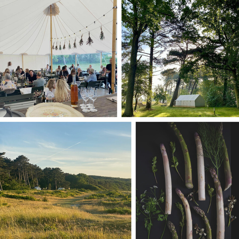 Michelin-restaurant åbner afstikker på populært glamping-sted