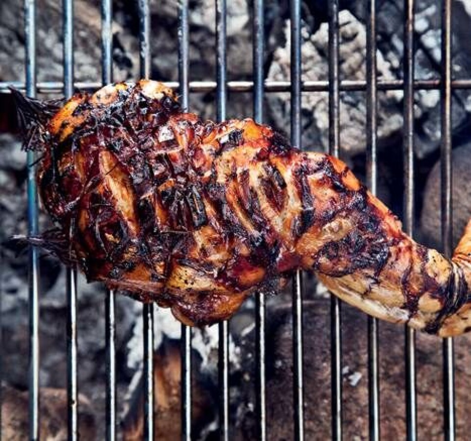 Grillmad: 5 lækre retter til dig og din grill