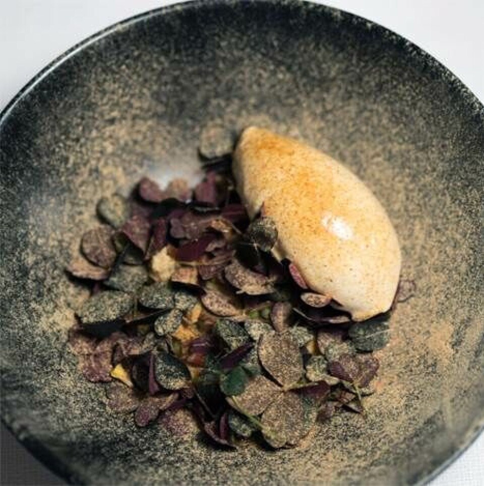 Få 6 opskrifter fra restaurant 1.th