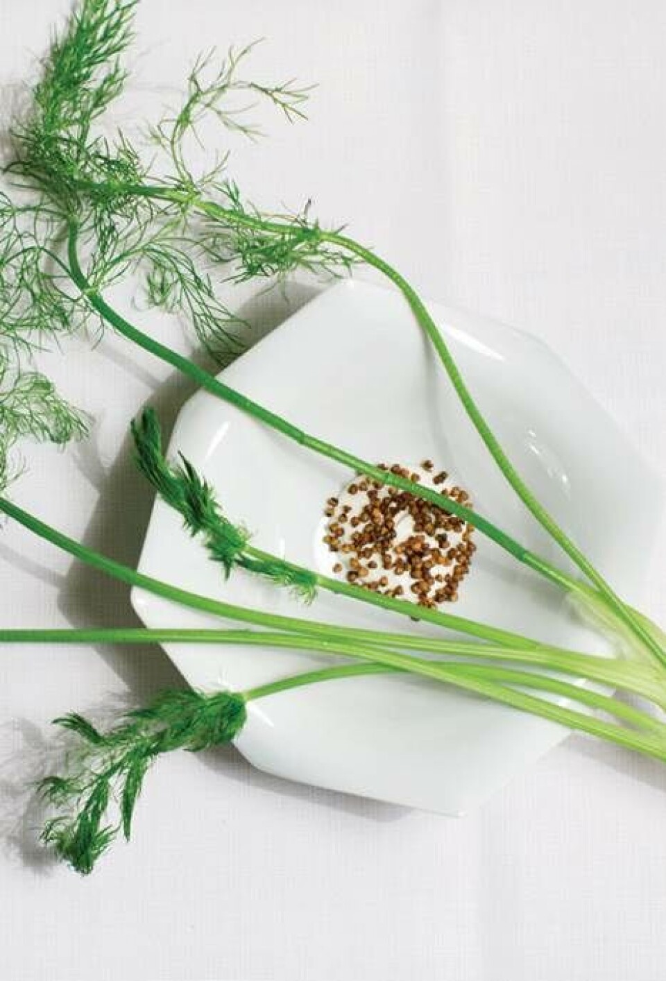 Få 6 opskrifter fra restaurant 1.th