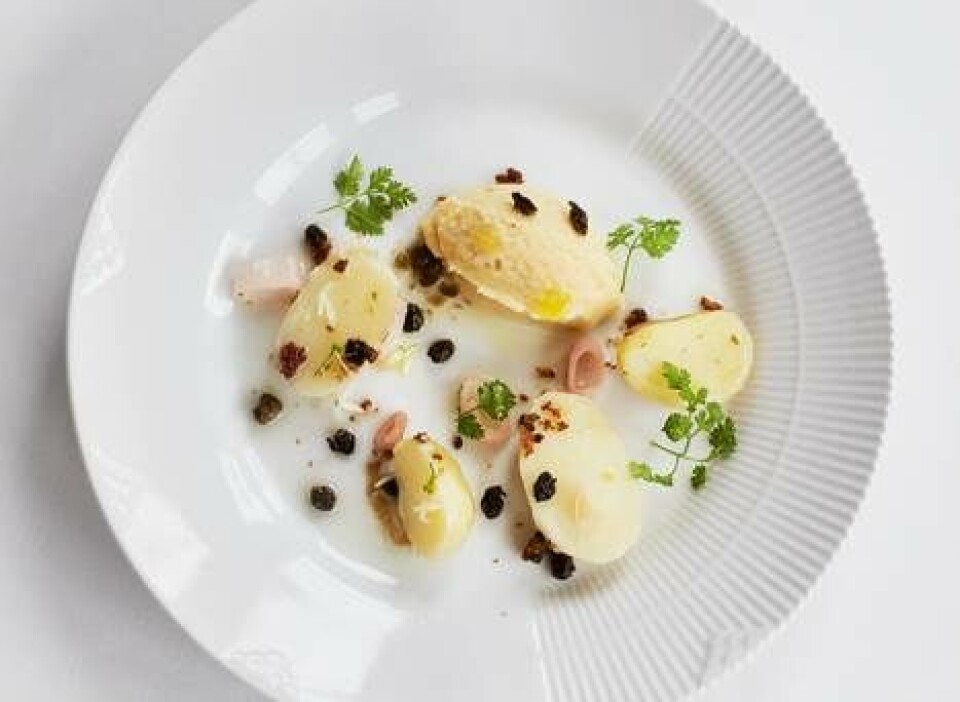 5 opskrifter fra Restaurant Lumskebugten