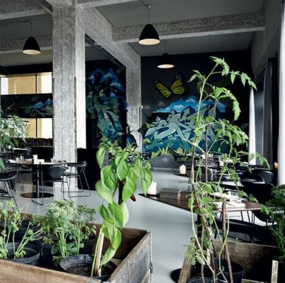 Guide: 8 gode frokostrestauranter