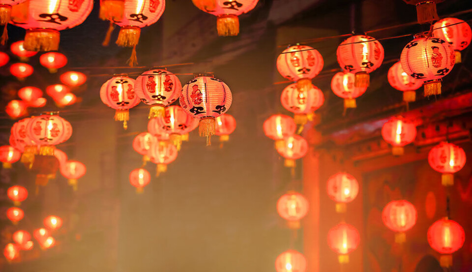 Gadekøkken og verdenskøkken: Sådan skal du spise dig gennem Hongkong