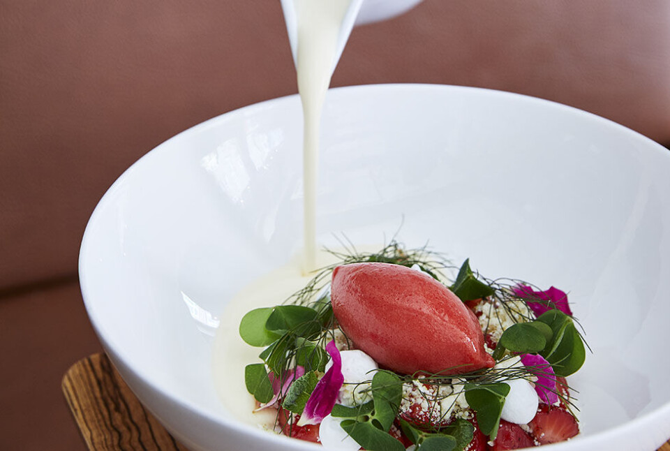 Guide: 15 spisesteder i Aalborg, der er værd at besøge