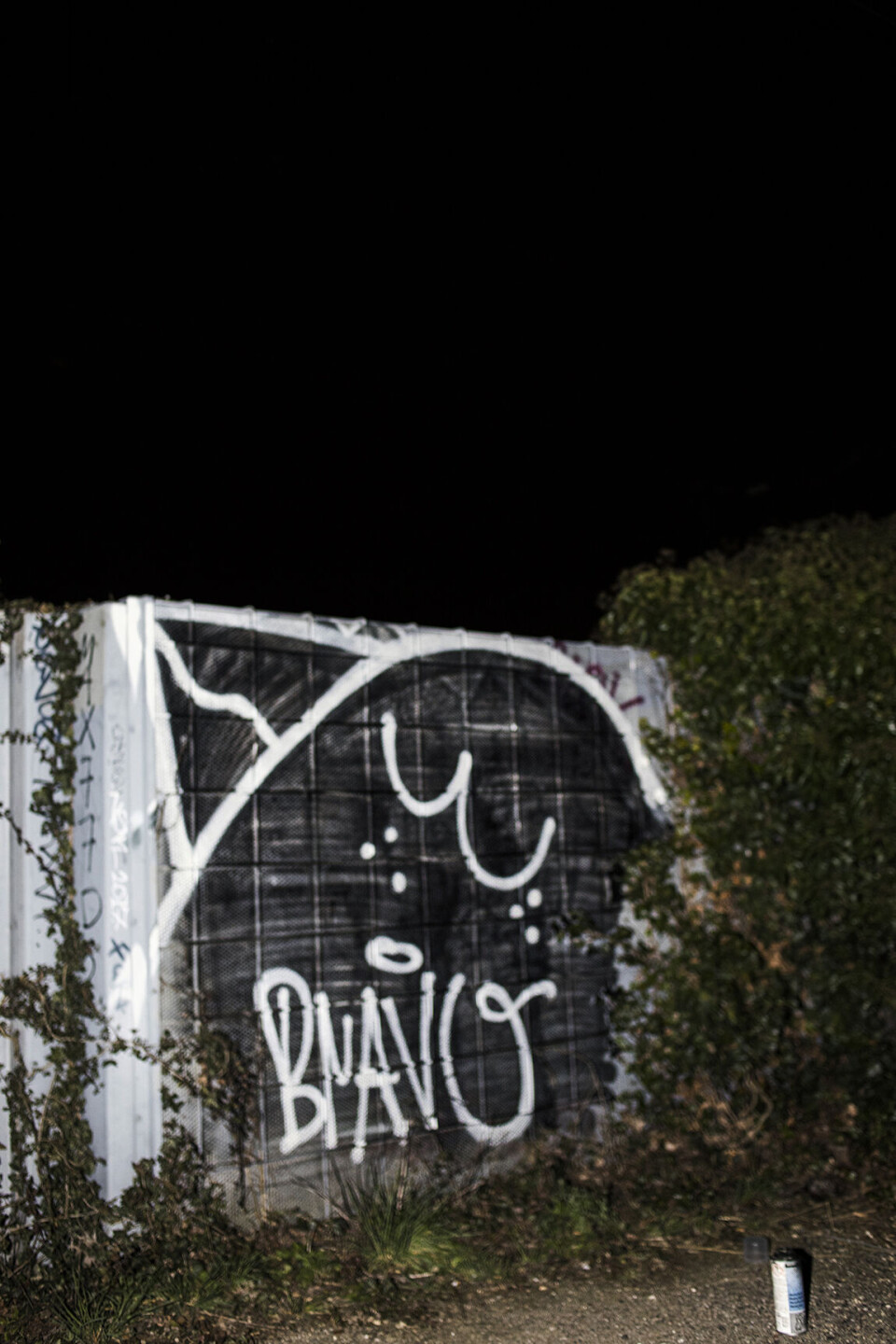 Far om dagen, graffitimaler om natten: 'Det er ligesom swingerklubben. Vi knalder bare byen'