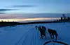 Nord for polarcirklen: Ishotel, slædehunde og snescootere