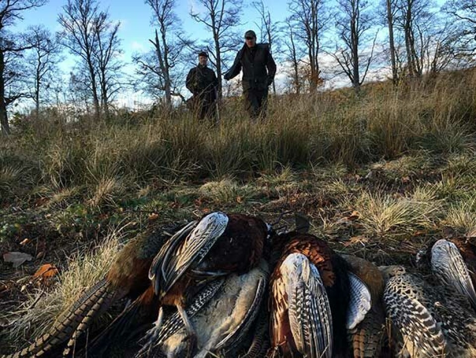 Sådan kommer du i gang med jagtsæsonen