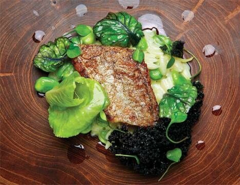 6 unikke og velsmagende fiskeretter