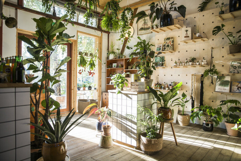 Guide: De 10 bedste caféer i Aarhus