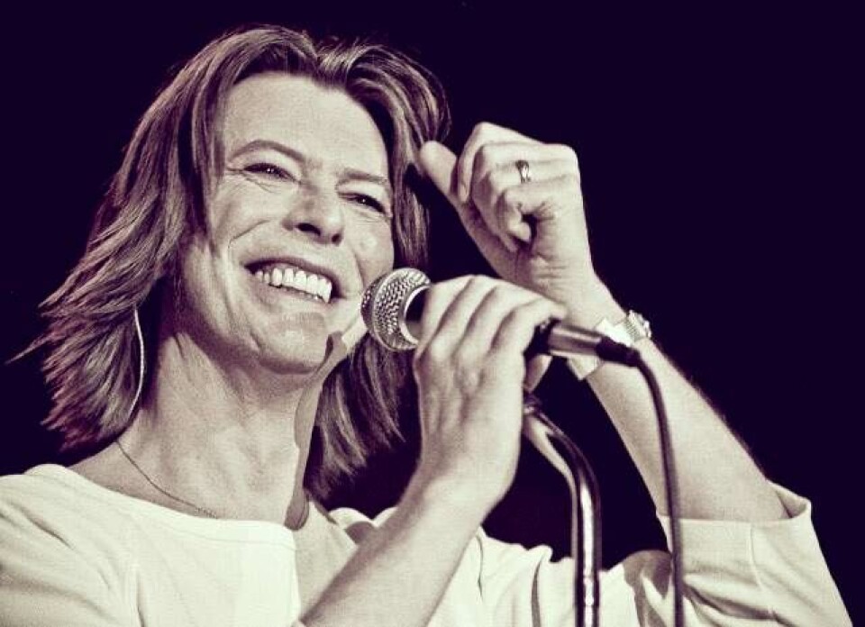 Mig og Bowie: 11 mænd om mødet med stjernen