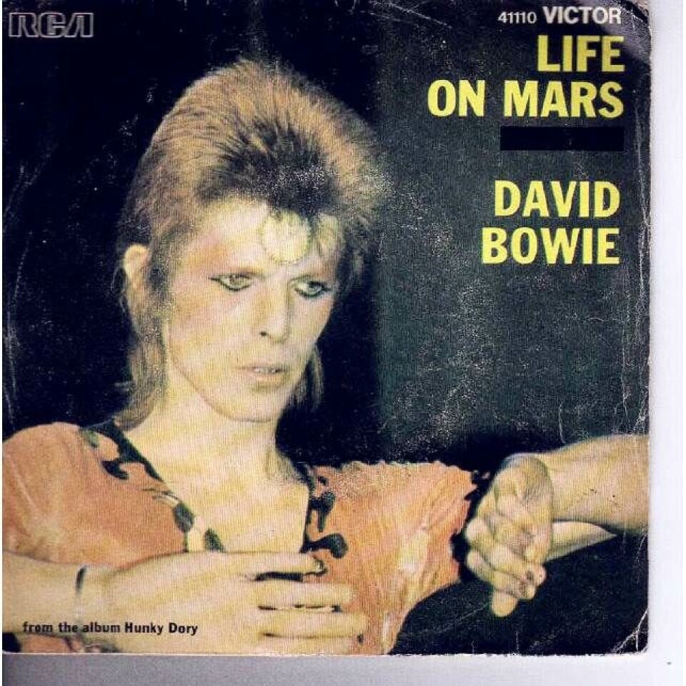 Mig og Bowie: 11 mænd om mødet med stjernen